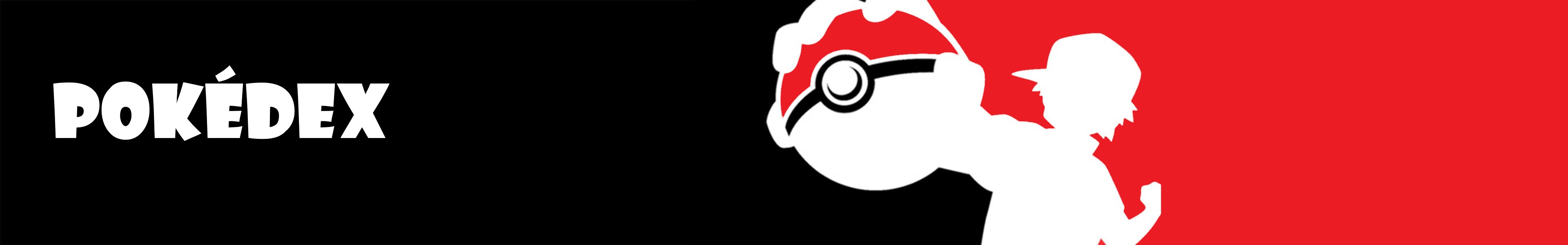 Pokémon Banner